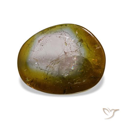 3.48ct 멀티컬러 투르말린, 팬시, 투명한