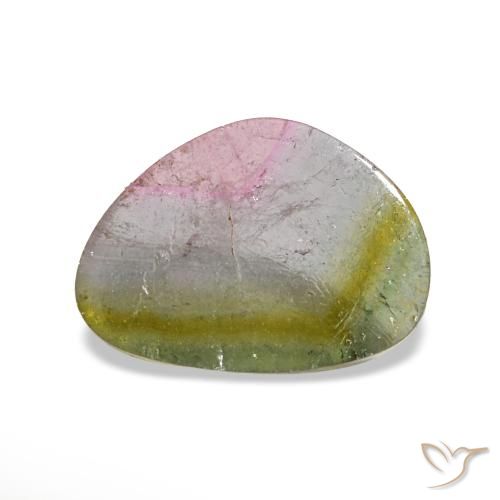 2.65캐럿 천연 워터멜론 투르말린, 트릴리언, 11.2×8.1 mm, 투명한