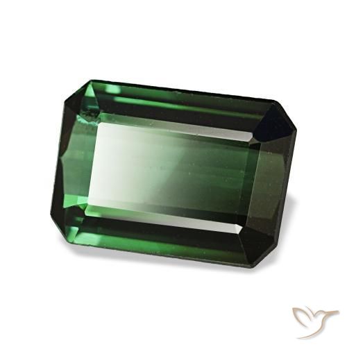 1.42캐럿 천연 딥 그린 투르말린, 에메랄드 컷, 8.2×5.9 mm, VVS-VS
