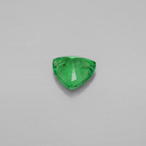 0.67캐럿 천연 크롬 그린 차보라이트 가넷, 트릴리언, 5.7×5.6 mm, VS