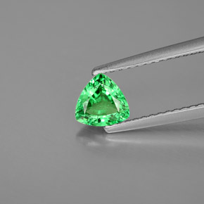 0.57캐럿 천연 크롬 그린 차보라이트 가넷, 트릴리언, 5.5×5.5 mm, VS