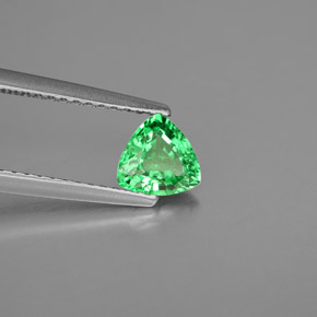 0.57캐럿 천연 크롬 그린 차보라이트 가넷, 트릴리언, 5.5×5.5 mm, VS