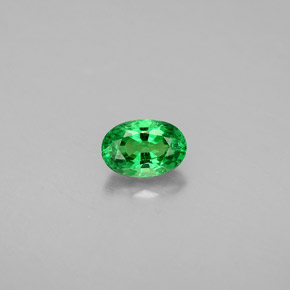 0.71캐럿 천연 크롬 그린 차보라이트 가넷, 타원형 컷, 6.3×4.3 mm, VS