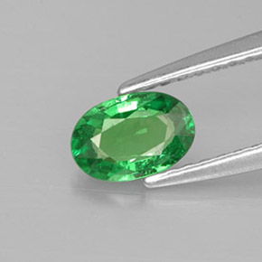 0.56캐럿 천연 크롬 그린 차보라이트 가넷, 타원형 컷, 6.2×4.2 mm, VS