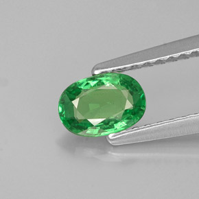 0.55캐럿 천연 크롬 그린 차보라이트 가넷, 타원형 컷, 6.2×4.3 mm, VS-SI