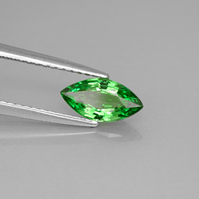 0.89캐럿 천연 크롬 그린 차보라이트 가넷, 마퀴즈, 9.1×4.7 mm, VVS-VS