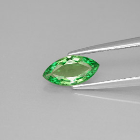 0.75캐럿 천연 크롬 그린 차보라이트 가넷, 마퀴즈, 9×4.6 mm, VVS-VS