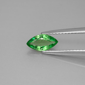 0.64캐럿 천연 크롬 그린 차보라이트 가넷, 마퀴즈, 8.1×4.2 mm, VVS-VS