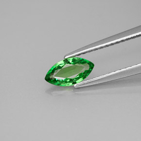 0.49캐럿 천연 크롬 그린 차보라이트 가넷, 마퀴즈, 7.8×4.1 mm, VS-SI