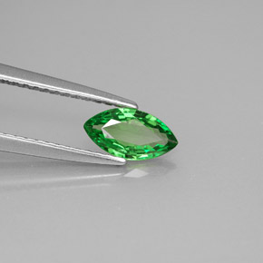 0.49캐럿 천연 크롬 그린 차보라이트 가넷, 마퀴즈, 7.8×4.1 mm, VS-SI
