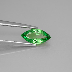 0.83캐럿 천연 크롬 그린 차보라이트 가넷, 마퀴즈, 8.9×4.5 mm, VVS-VS