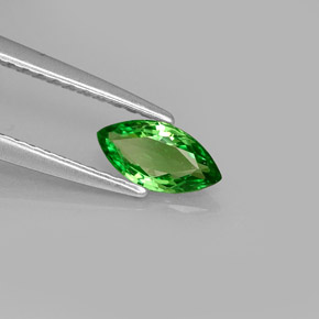 0.43캐럿 천연 크롬 그린 차보라이트 가넷, 마퀴즈, 7.2×3.7 mm, VVS-VS
