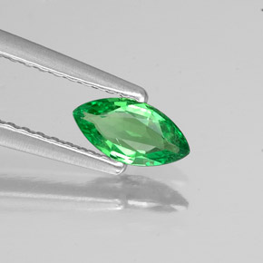 0.34캐럿 천연 크롬 그린 차보라이트 가넷, 마퀴즈, 6.9×3.6 mm, VS