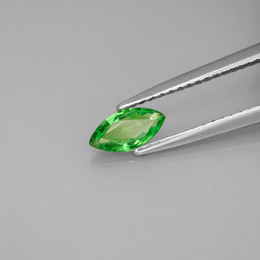 0.42캐럿 천연 비비드 그린 차보라이트 가넷, 마퀴즈, 7.2×3.7 mm, VS