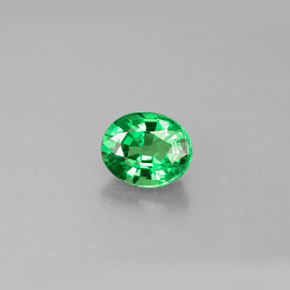 1.06캐럿 천연 그린 차보라이트 가넷, 타원형 컷, 6.6×5.5 mm, VS