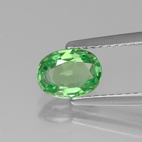 0.89캐럿 천연 그린 차보라이트 가넷, 타원형 컷, 7×5.3 mm, VS
