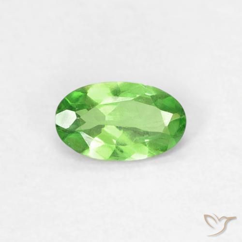 0.25ct 자연스러운 활기찬 녹색 차보라이트 가넷, 타원형, VVS-VS
