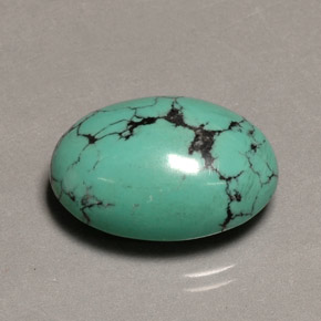 13.65캐럿 천연 그린 터키석, 타원형 컷, 19.4×13.4 mm, 불투명체