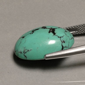 13.65캐럿 천연 그린 터키석, 타원형 컷, 19.4×13.4 mm, 불투명체