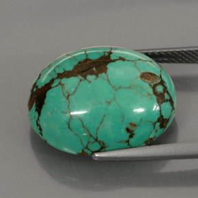 15.63캐럿 천연 블루 그린 터키석, 타원형 컷, 18.5×15.3 mm, 불투명체