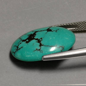 12.26캐럿 천연 그린 터키석, 타원형 컷, 20.7×15.8 mm, 불투명체