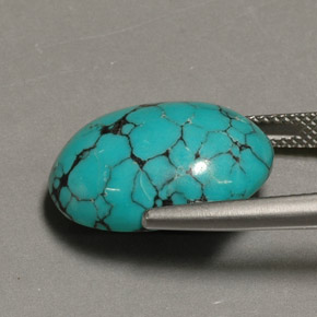 12.98캐럿 천연 블루 터키석, 타원형 컷, 18.5×13.4 mm, 불투명체