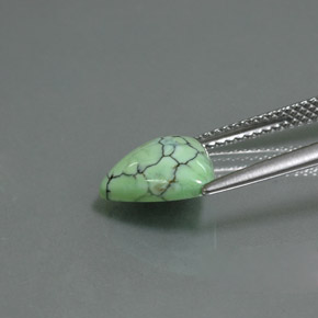 2.47캐럿 천연 옐로우 그린 터키석, 트릴리언, 10.3×10 mm, 불투명체