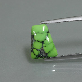 1.63캐럿 천연 옐로우 그린 터키석, 멋진 모양, 10.3×8.2 mm, 불투명체
