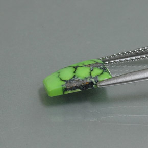 1.63캐럿 천연 옐로우 그린 터키석, 멋진 모양, 10.3×8.2 mm, 불투명체