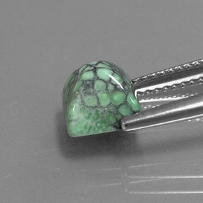 2.29캐럿 천연 그린 터키석, 스퀘어, 7.1×7.1 mm, 불투명체