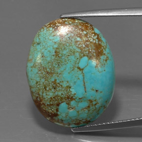 12.94캐럿 천연 블루 그린 터키석, 타원형 컷, 21.2×17.1 mm, 불투명체