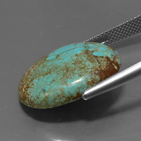 12.94캐럿 천연 블루 그린 터키석, 타원형 컷, 21.2×17.1 mm, 불투명체