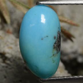 1.34캐럿 천연 블루 터키석, 멋진 모양, 11.9×6.8 mm, 불투명체