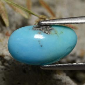 1.34캐럿 천연 블루 터키석, 멋진 모양, 11.9×6.8 mm, 불투명체