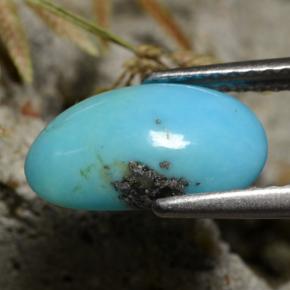 1.34캐럿 천연 블루 터키석, 멋진 모양, 11.9×6.8 mm, 불투명체