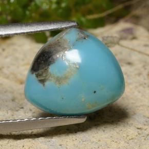 3.24캐럿 천연 블루 터키석, 트릴리언, 11.5×10 mm, 불투명체