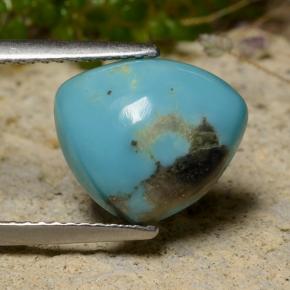 3.24캐럿 천연 블루 터키석, 트릴리언, 11.5×10 mm, 불투명체