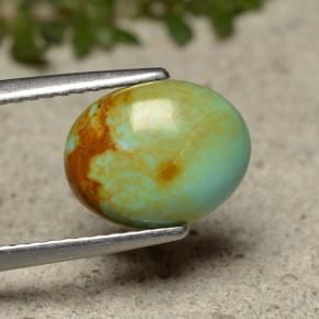 1.91캐럿 천연 블루 그린 터키석, 타원형 컷, 10.2×8 mm, 불투명체