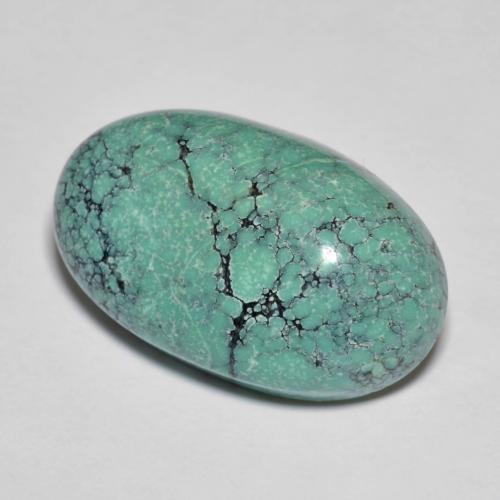 13.76캐럿 천연 일렉트릭 블루 톤 터키석, 타원형 컷, 21.9×13.3 mm, 불투명체