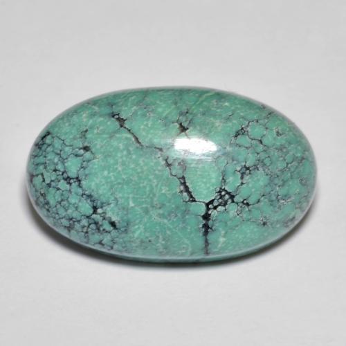13.76캐럿 천연 일렉트릭 블루 톤 터키석, 타원형 컷, 21.9×13.3 mm, 불투명체