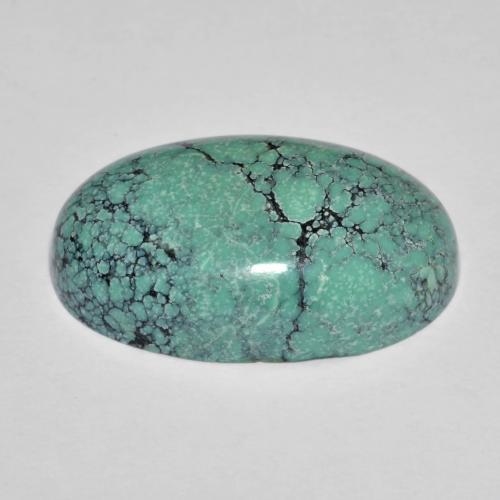 13.76캐럿 천연 일렉트릭 블루 톤 터키석, 타원형 컷, 21.9×13.3 mm, 불투명체