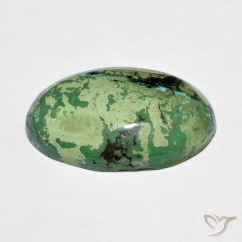 9.73캐럿 천연 애플 그린 터키석, 타원형 컷, 20×13.1 mm, 불투명체