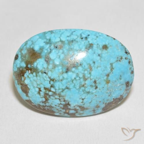 48.31ct 자연스러운 초록빛이 도는 파란색 터키 옥, 타원형, 불투명체