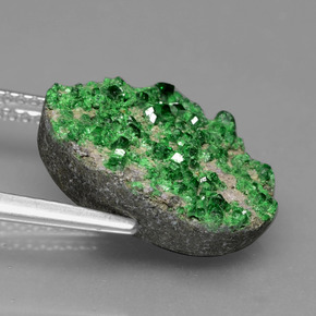 9.86캐럿 천연 Deep Earthy Green 우바로바이트 가넷 드루시, 팬시한, 불투명체