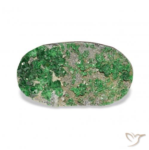 7.91ct Deep Earthy Green 우바로바이트 가넷 드루시, 타원형, 불투명체
