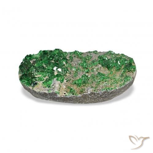 7.91캐럿 천연 Deep Earthy Green 우바로바이트 가넷 드루시, 타원형, 불투명체