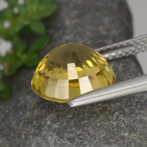 6.97캐럿 천연 골든 옐로우 지르콘, 라운드 컷, 10.17 mm, VVS