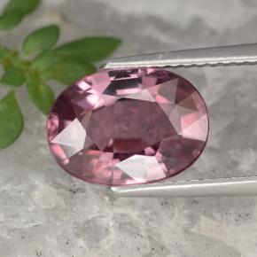 4.18캐럿 천연 핑크 지르콘, 타원형 컷, 10.8×7.8 mm, VVS