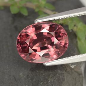 3.58캐럿 천연 핑크 레드 지르콘, 타원형 컷, 9.1×7 mm, VVS