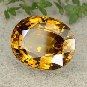 47.35캐럿 천연 골든 옐로우 지르콘, 타원형 컷, 22.5×18.1 mm, VVS